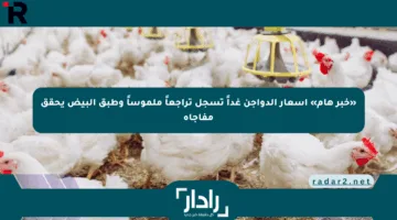 «خبر هام» أسعار الدواجن غداً تسجل تراجعاً ملموساً وطبق البيض يحقق مفاجأة